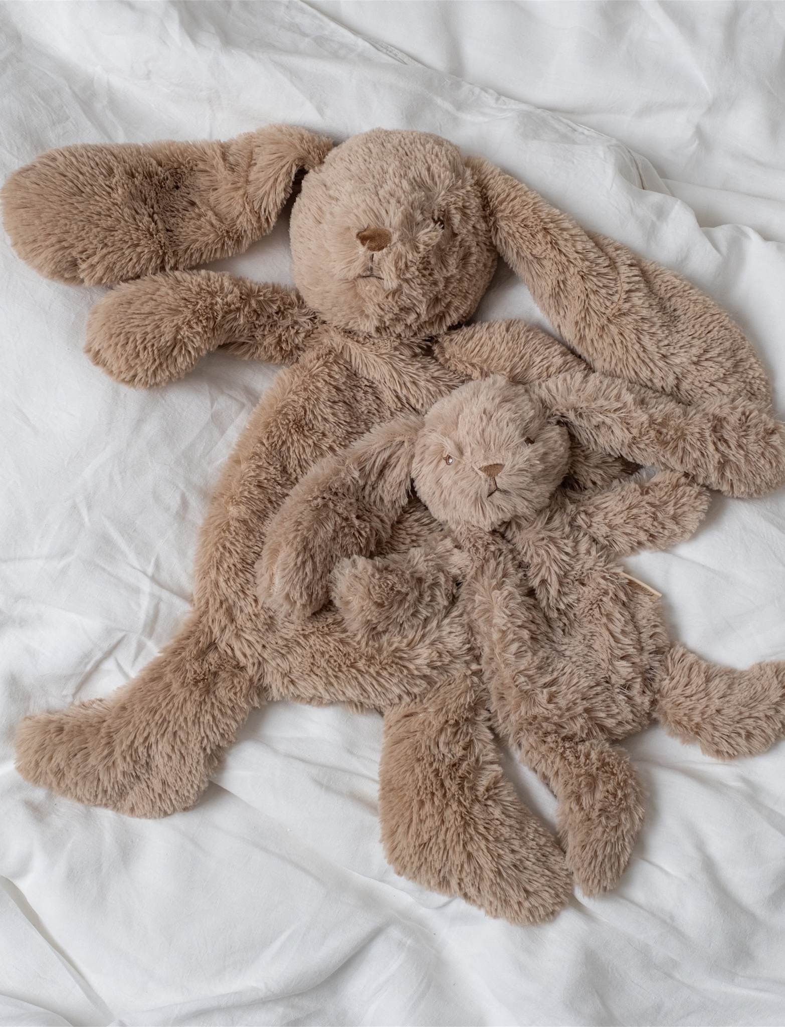 That's Mine Houston tyngdebamse lille - Bunny - 80% Polyester / 20% Plastic particles Buy Legetid||Bamser og nusselegetøj||Nusseklude||Tyngdebamser||Alle||Favoritter||personale||Influencer choice||Gaver mellem 200 - 499 kr.||alt minus sløjfe||NOOS||mette-sale||Gaveideer||Orderly Emails - Recommended Products||Must haves||Bestsellers||cn||All here.