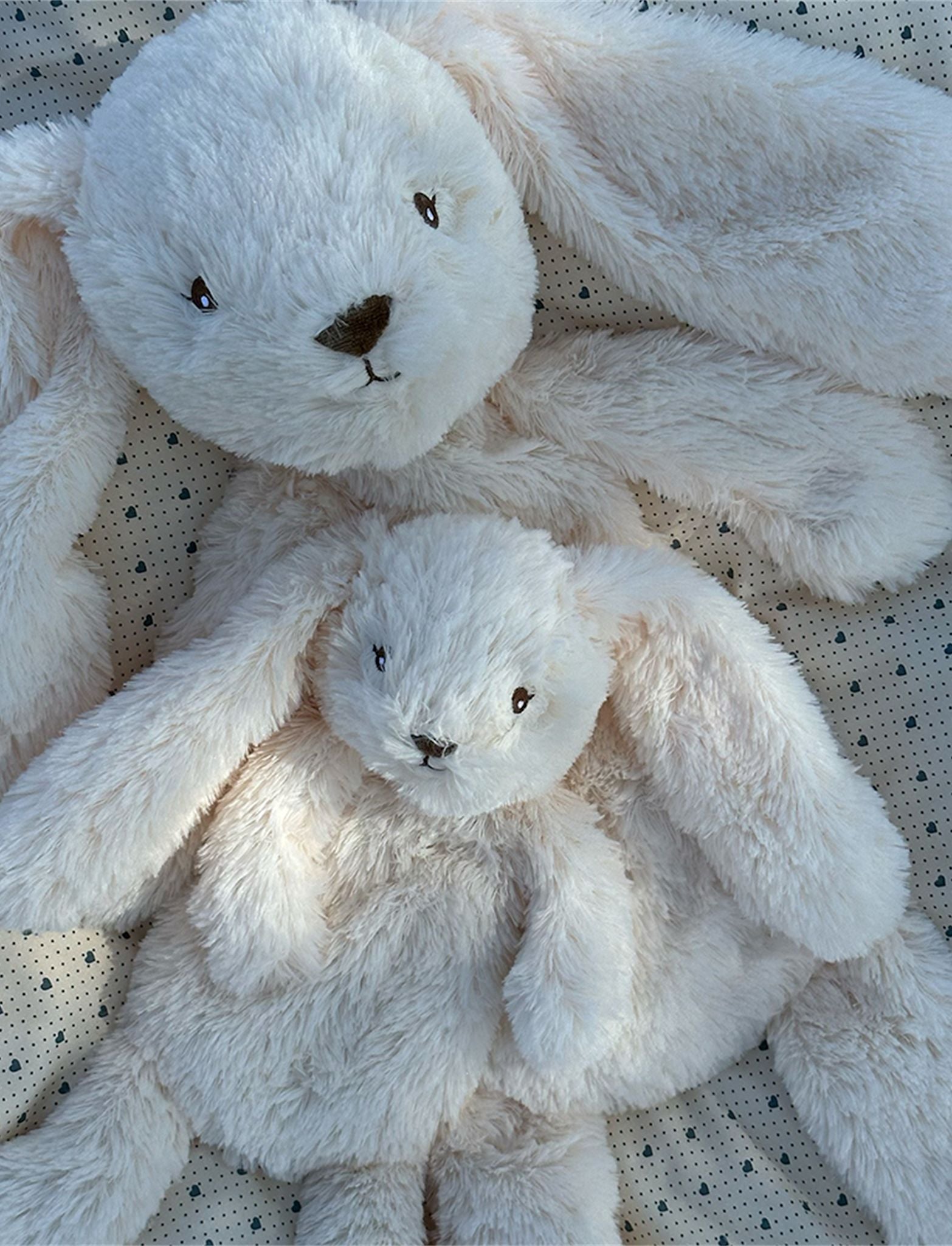Houston heavy teddy small - Bunny Cream