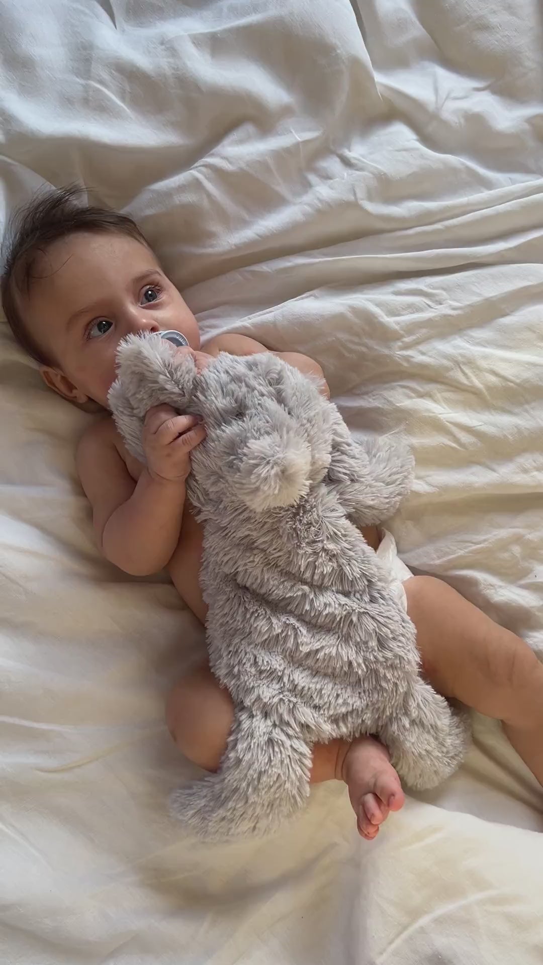 Houston heavy teddy small - Elephant